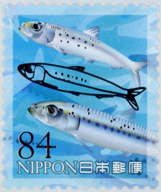 Sardines (Clupeidae sp.)