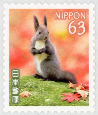 Ezo Squirrel