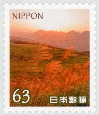 Pampas Grass