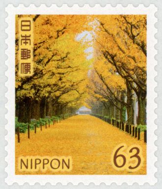 Row of Ginkgo Trees