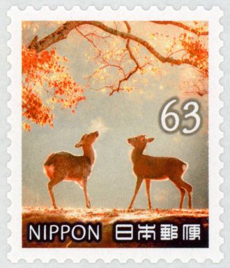Deer and Autumn Leaves