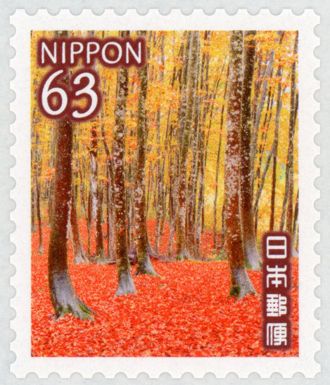 Forest of Coloured Leaves