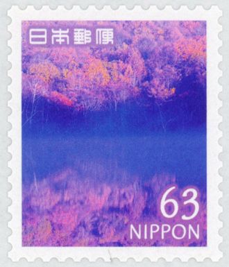 Forest and Pond