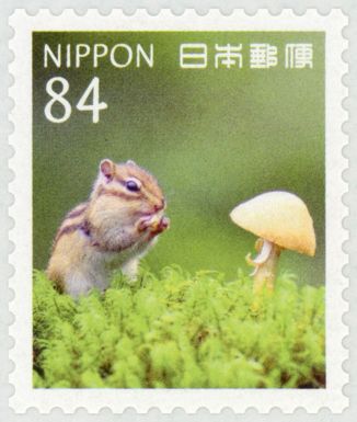 Siberian chipmunk (Eutamias sibiricus)