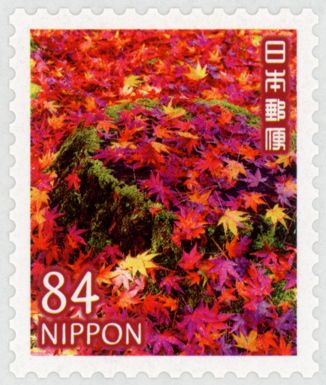 Maple Leaves