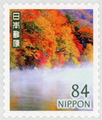Autumn Leaves and Morning Mist
