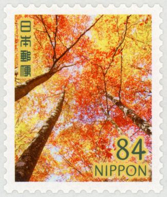 Forest of Coloured Leaves