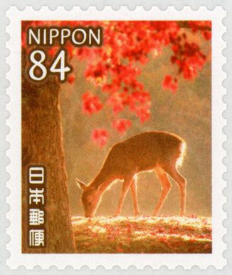 Deer and Autumn Leaves