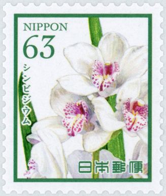 Cymbidium