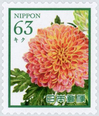Chrysanthemum