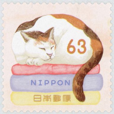 Cat and Laundry