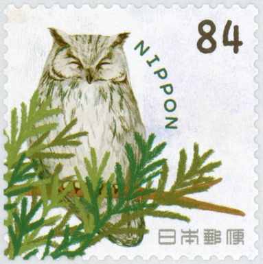 Long-eared Owl