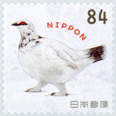 Grouse