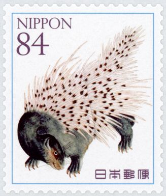 Porcupine by Haruyama Takagi