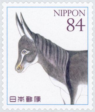 Donkey by Haruyama Takagi