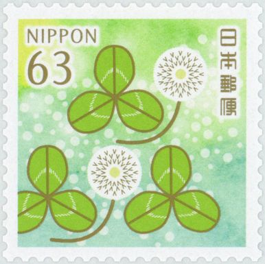 White Clover (Trifolium repens)