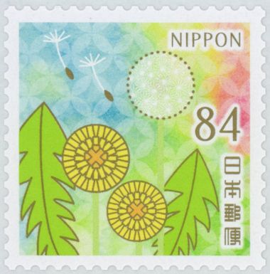 Dandelion (Taraxacum platycarpum)