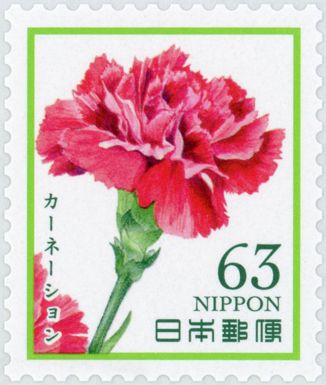Carnation