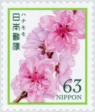 Peach Blossoms