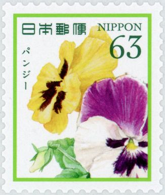 Pansies
