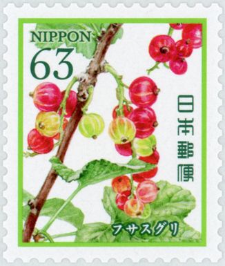 Currants