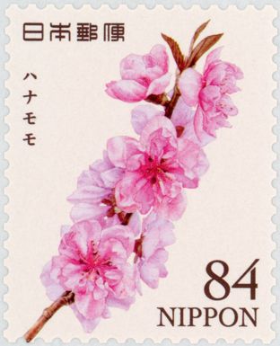Peach Blossoms