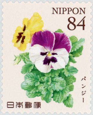 Pansies