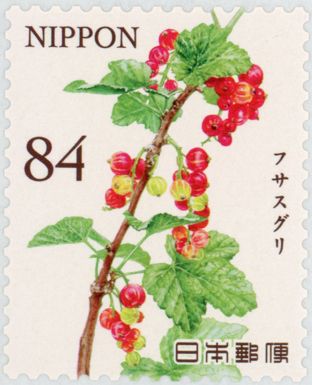 Currants