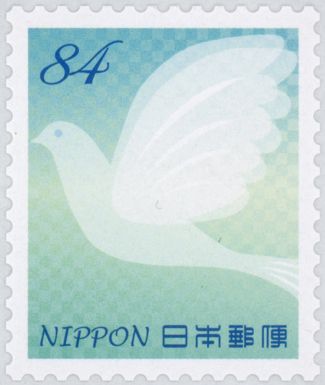 Dove (Columbidae)