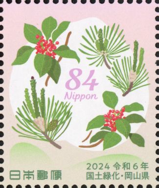 Japanese Red Pine and Japanese Silverleaf