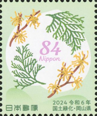 Japanese Cypress and Witch Hazel