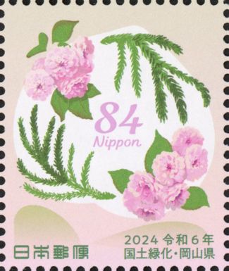 Japanese Cedar and Japanese Cherry