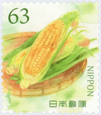 Corn (Zea mays)