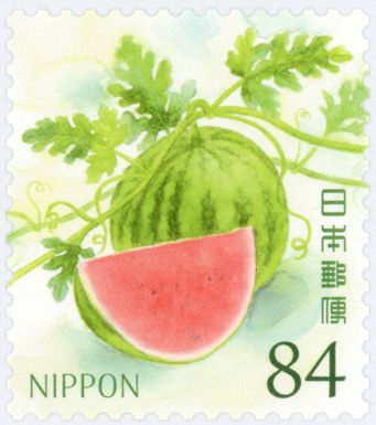 Watermelon (Citrullus lanatus)