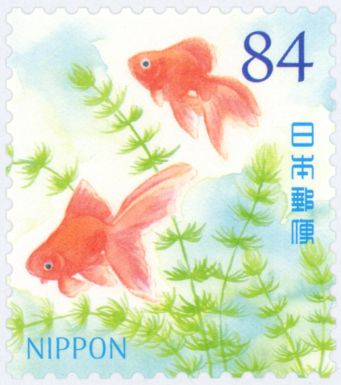 Ryūkin (Carassius auratus)
