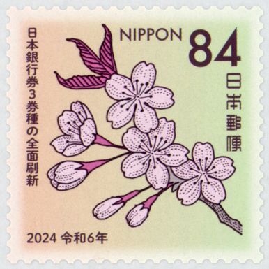 Mountain Cherry Blossoms (Cerasus jamasakura)