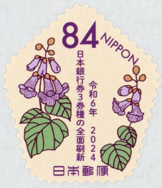 Princess Tree (Paulownia tomentosa)