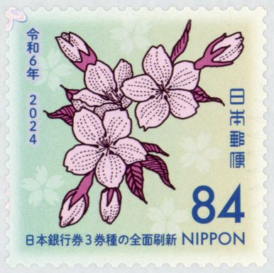 Mountain Cherry Blossoms (Cerasus jamasakura)
