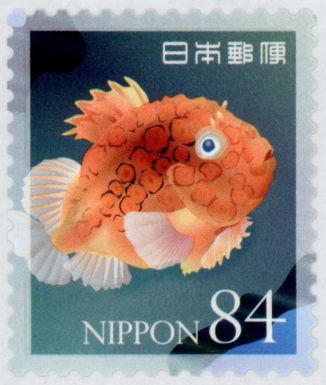 Ibo Lumberfish