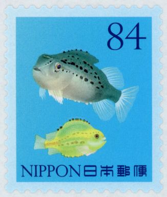 Lumpfish