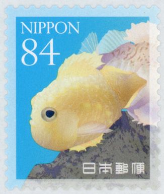 Balloonfish