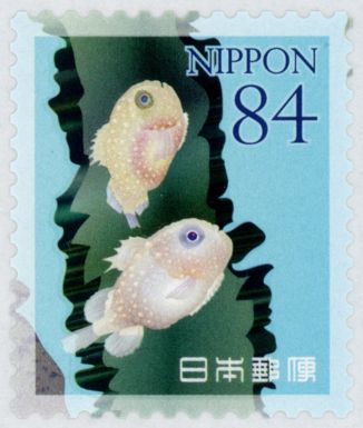 Congeefish
