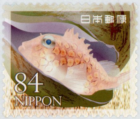 Ibo Lumberfish