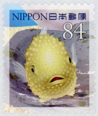 Congeefish