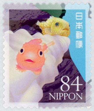 Balloonfish and Congeefish