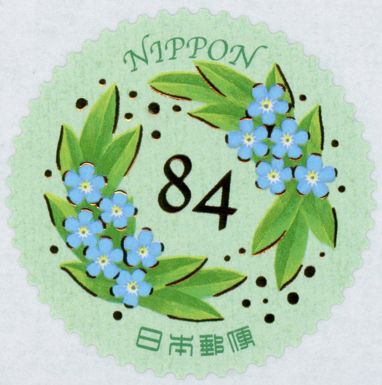Forget-me-not
