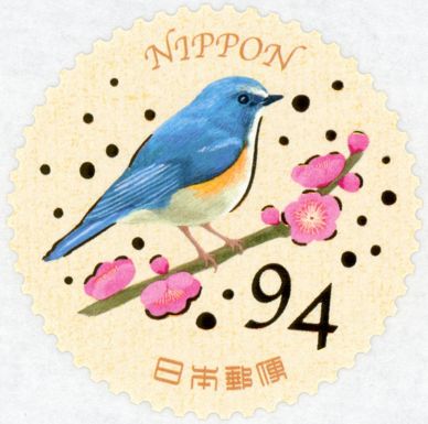 Red-flanked Bluetail (Tarsiger cyanurus)