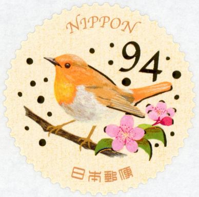 Japanese Robin (Larvivora akahige)