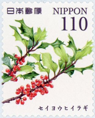 Holly