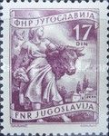 Farmwoman with cattle